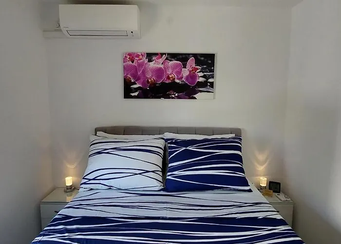 Perunika سيلتسي