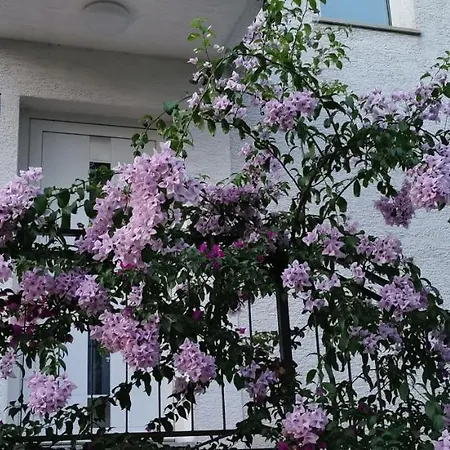 Apartman Perunika